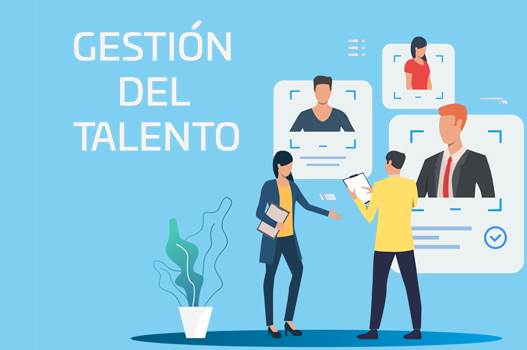 ¿Por qué estudiar una maestría en gestión del talento en Ecuador?