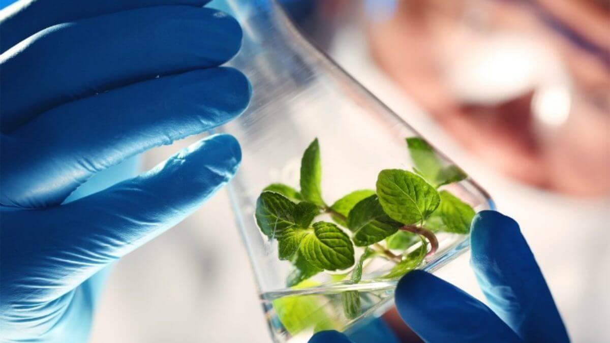 Carrera Biología en Ecuador