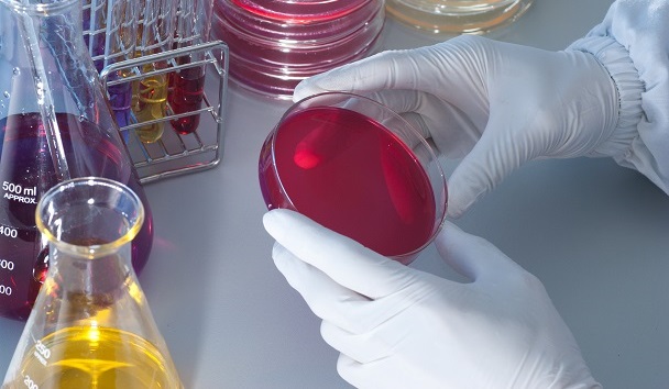 Nuevas Carreras en la Universidad Central del Ecuador