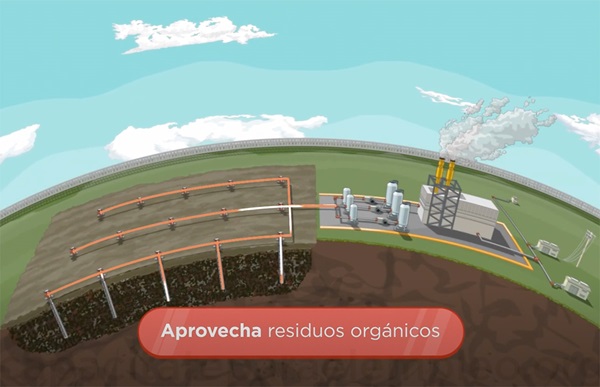 Curso Gratis : Producir Biomasa para Beneficiar a la Sociedad y al Medio Ambiente
