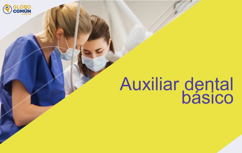 Auxiliar Dental Básico: Capacítate e Identifica el Instrumental en Clínica