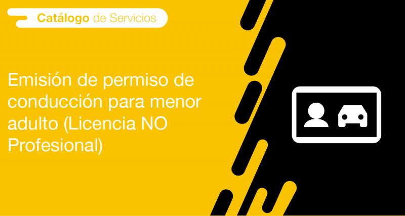 Permiso de Conducir para Menor Adulto en Ecuador